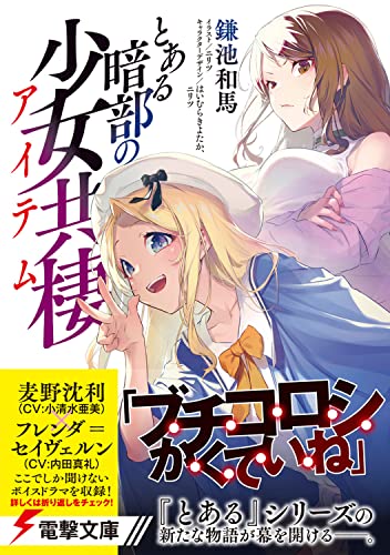 A Certain Item of Dark Side (Toaru Anbu no Item) (Light Novel)