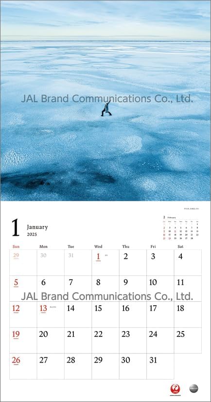 JAL 'A WORLD OF BEAUTY' (Normal Size) 2025 Wall Calendar CL25-1132