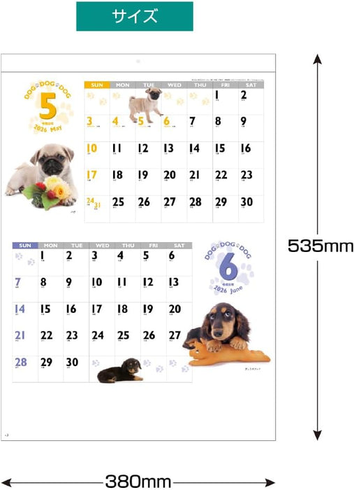 King Corporation 2026 Wall Calendar DOG DOG DOG B3 535 x 380mm KC30129