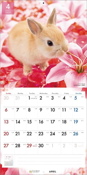 PICTWAN 2025 Calendar Rabbit