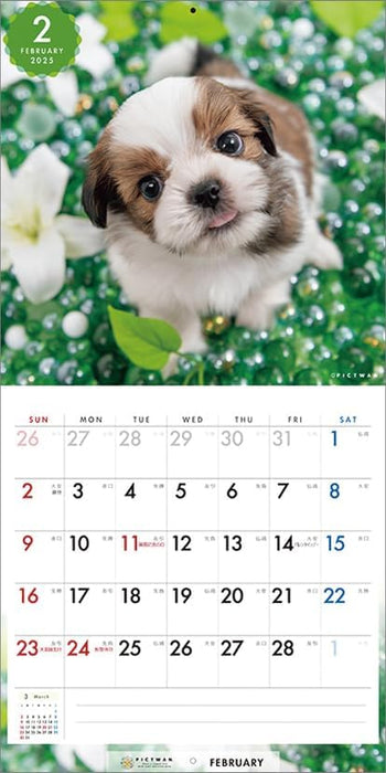 PICTWAN 2025 Calendar Shih Tzu