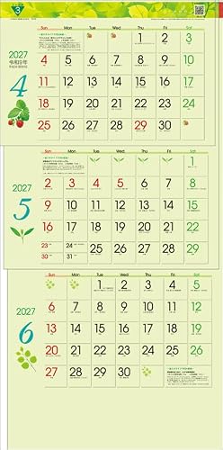 Todan 2027 Wall Calendar Green 3-Month eco S (From Top to Bottom Type) CL27-1021