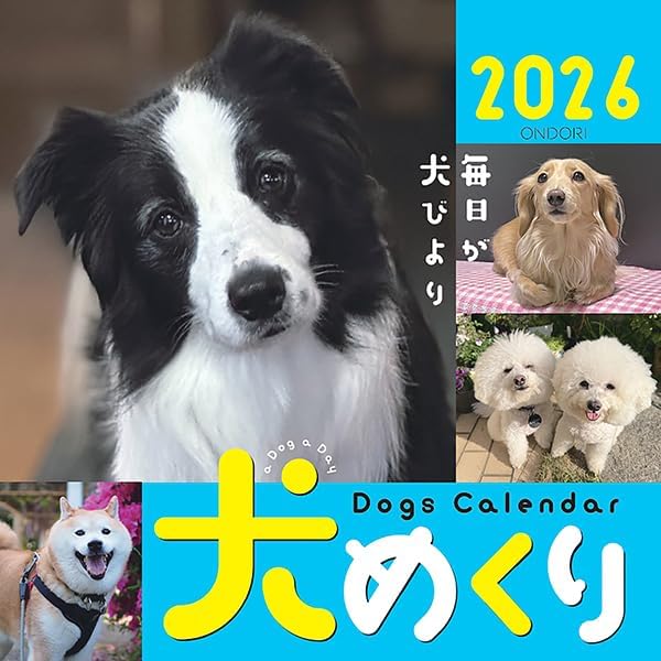 CO2 Dogs 2026 Page-A-Day Calendar CK-D26-01