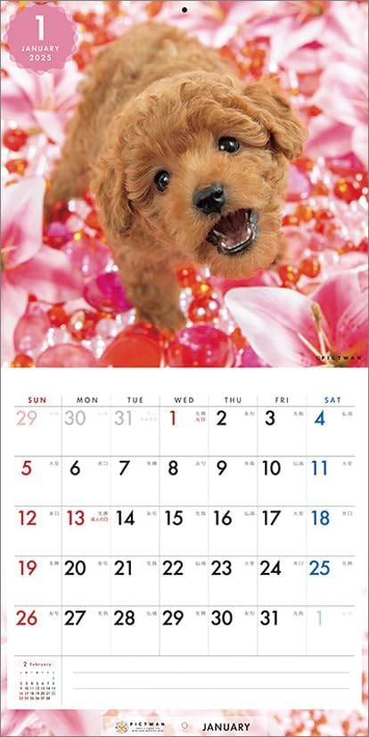 PICTWAN 2025 Calendar S Edition Poodle CL25-1239