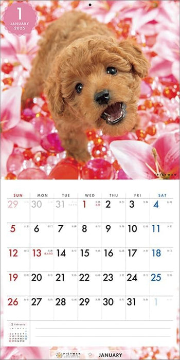 PICTWAN 2025 Calendar S Edition Poodle CL25-1239