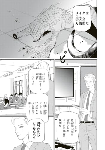 Meida Vol.1