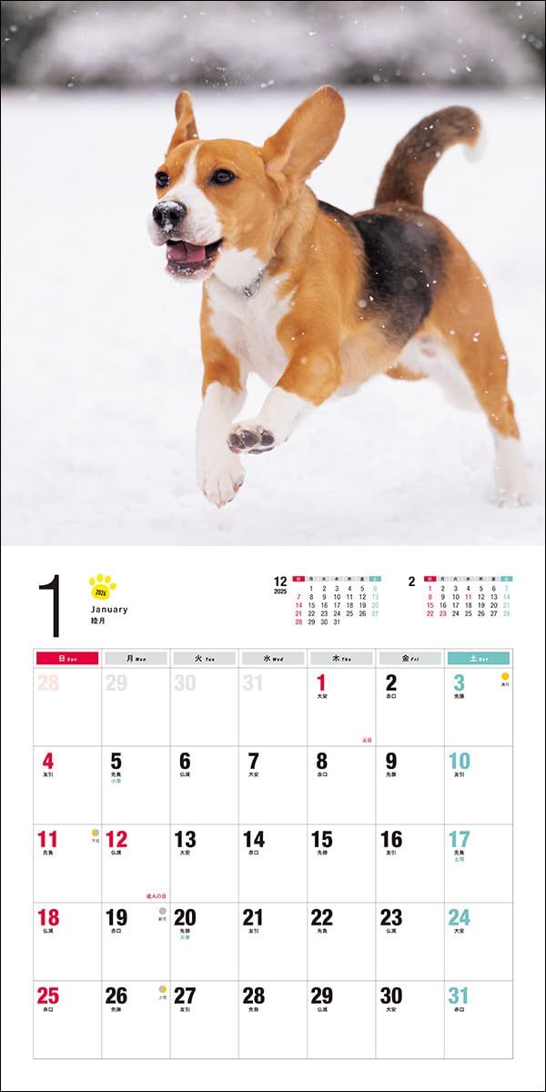 2026 Beagle Calendar