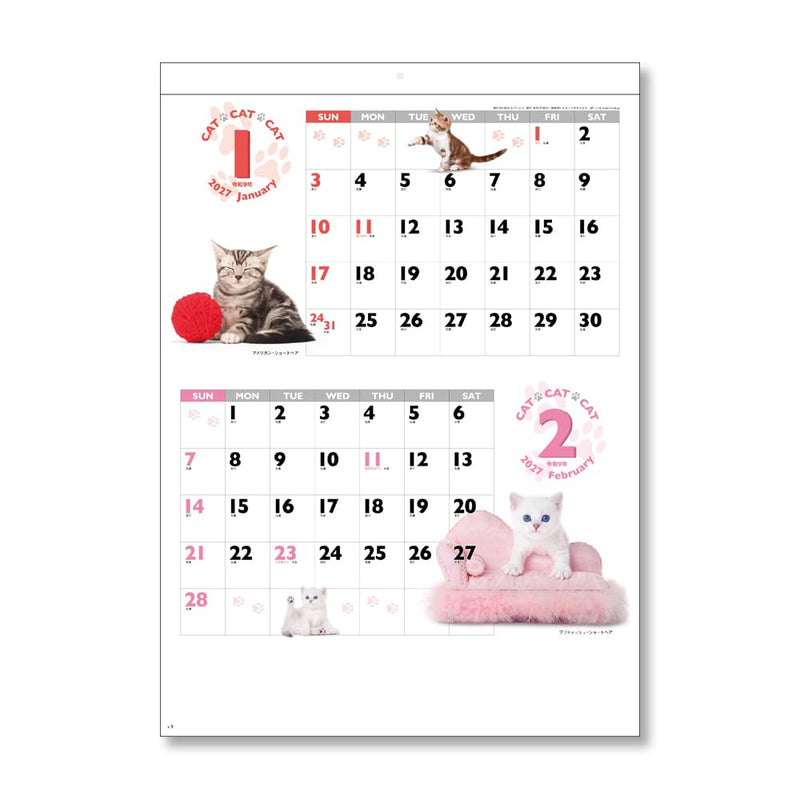 Eco Wall & Desk Calendar 2027 A5 E106