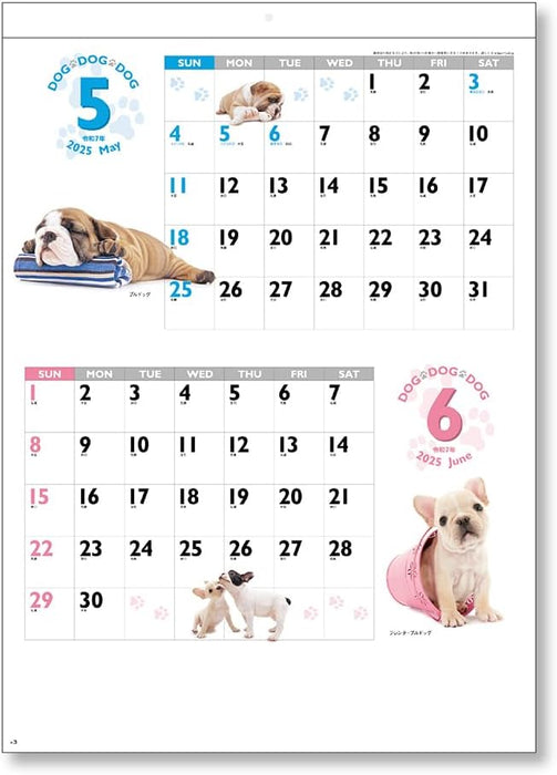 King Corporation 2025 Wall Calendar DOG DOG DOG B3 535 x 380mm KC30129