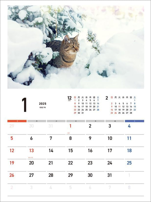 Hagoromo Charity Calendar Relaxing Cat 2025 Wall Calendar CL25-0686