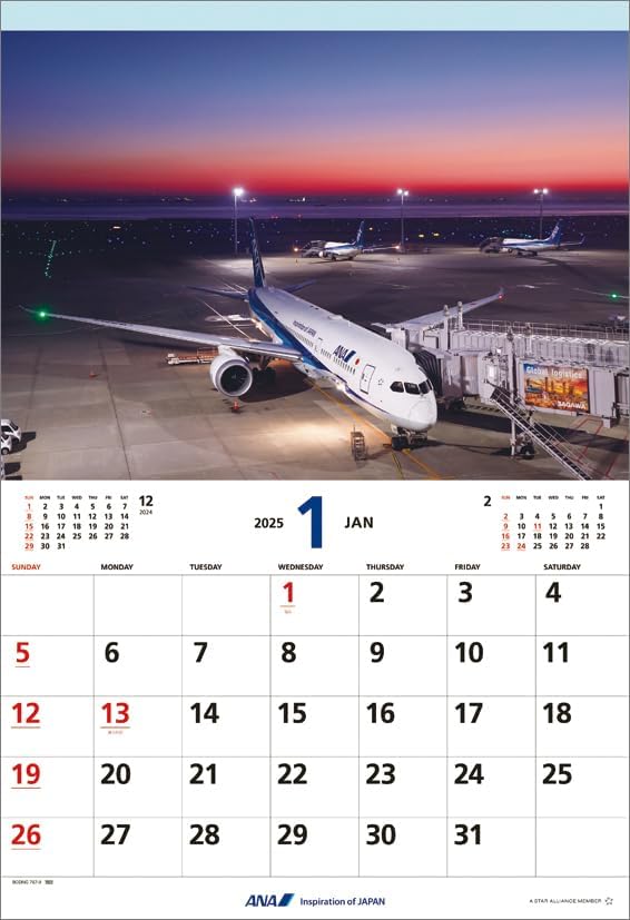 ANA 'Flight' (Includes Mini Calendar) 2025 Wall Calendar CL25-1149
