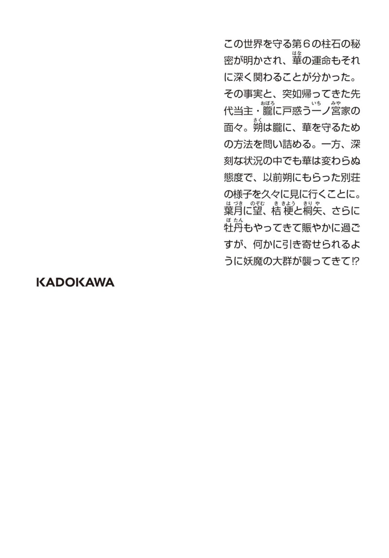 Kekkaishi no Ichirinka 7 (Light Novel)
