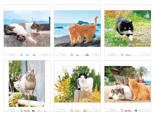 New Japan Calendar 2027 Wall Calendar Indigo Dye Monthly Calendar NK72
