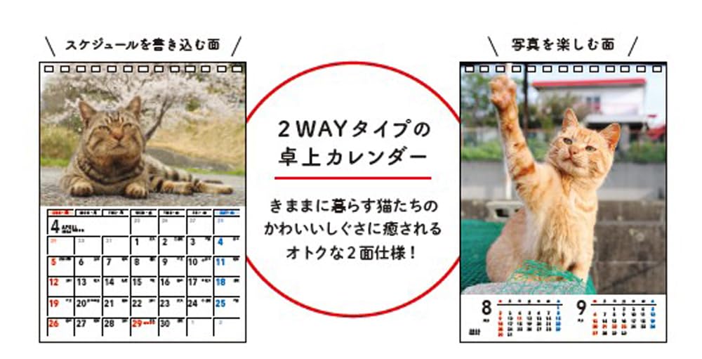 Kimama Neko-sama 2026 Desk Calendar [B6 Vertical Format] S4