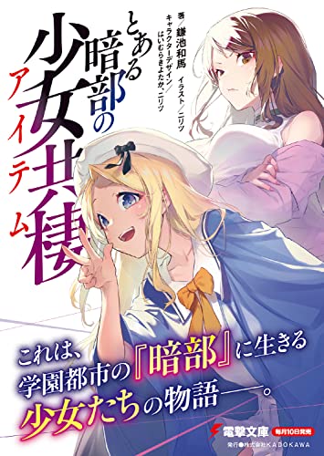 A Certain Item of Dark Side (Toaru Anbu no Item) (Light Novel)