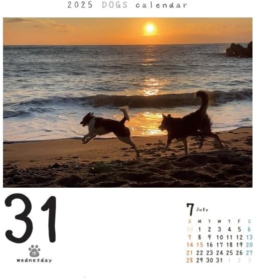 CO2 Dogs 2025 Page-A-Day Calendar Refill CK-D25-02