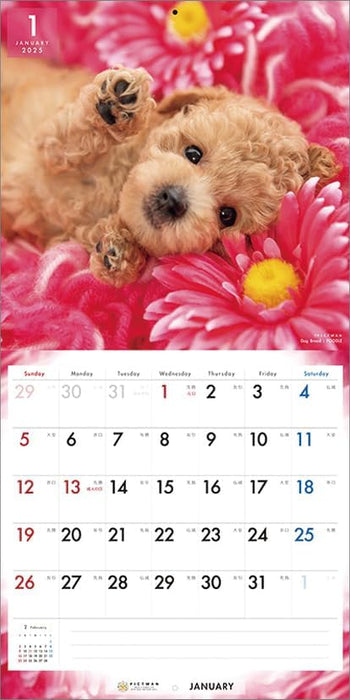 PICTWAN 2025 Calendar L Edition Poodle CL25-1222