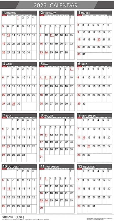 Try-X 2025 Wall Calendar 3-Month Schedule Vertical Type CL-641 61x30cm
