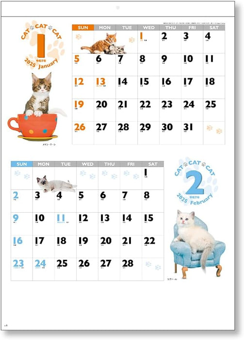 King Corporation 2025 Wall Calendar CAT CAT CAT B3 535 x 380mm KC30128