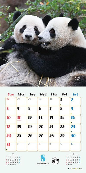 Try-X Xiang Xiang Xiaoxiao Lei Lei 2025 Wall Calendar CL-385 48 x 24cm