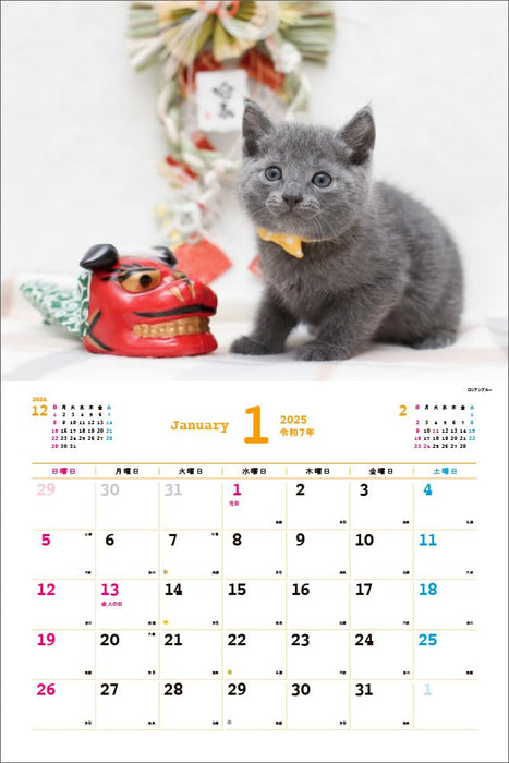 Too Cute Cat Calendar 2025