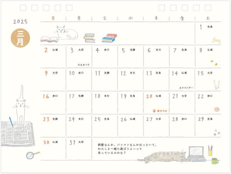 Midori 2025 Desk Calendar M Cat Pattern 31314006