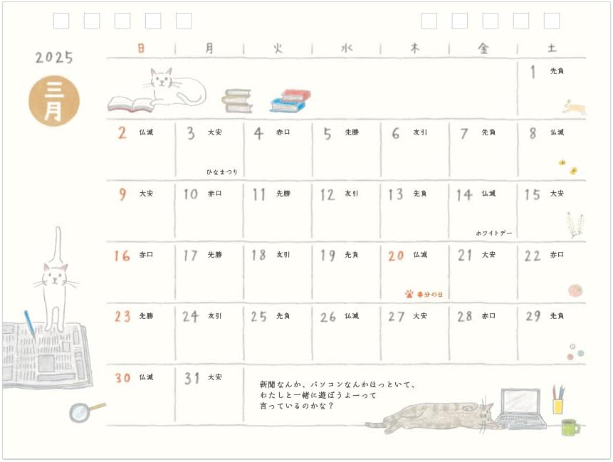 Midori 2025 Desk Calendar M Cat Pattern 31314006