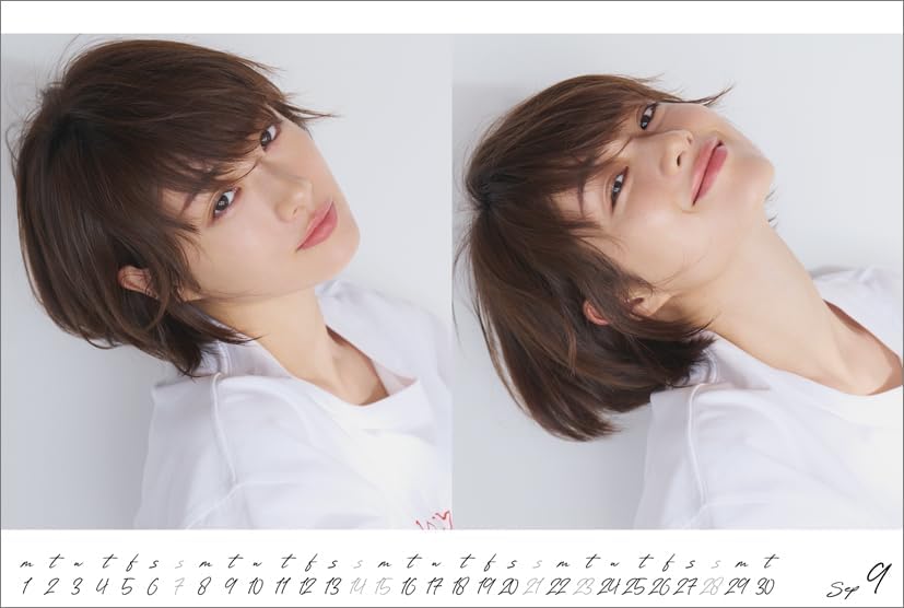 Hagoromo Satomi Ishihara 2025 Desk Calendar CL25-0248