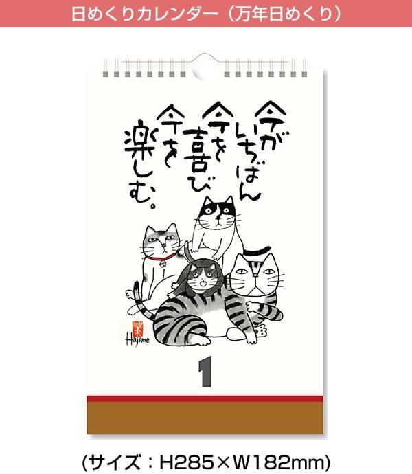 New Japan Calendar Perpetual Page-A-Day Wall Calendar Cat Quotes to Enjoy Today NK8655