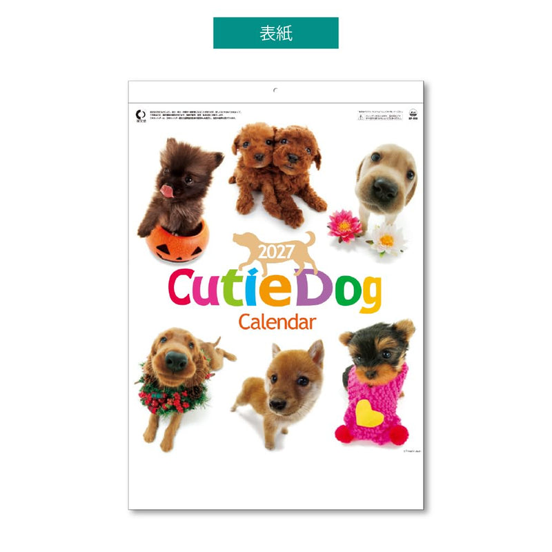 Eco Wall Calendar 2027 2-Month View Double B5 Size E93