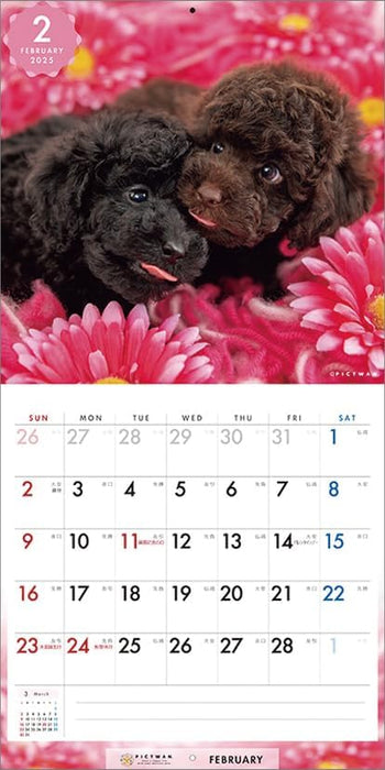 PICTWAN 2025 Calendar S Edition Poodle CL25-1239