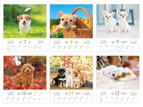 Fuwa Fuwa Wanko 2027 Calendar (Monthly/Wall Calendar) (Impress Calendar 2027)