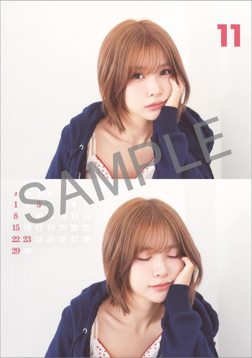 Hagoromo Liyuu 2026 Desk Calendar CL26-0235