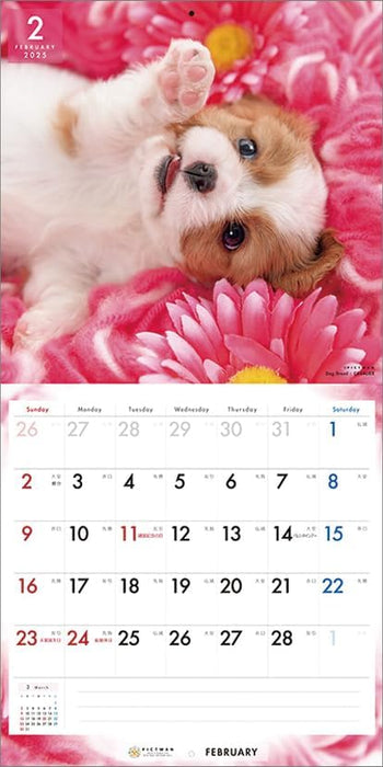 PICTWAN 2025 Calendar Cavalier - King Charles Spaniel