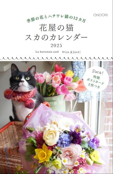 Flower Shop's Cat Suca Desk Calendar 2025 CK-C25-04