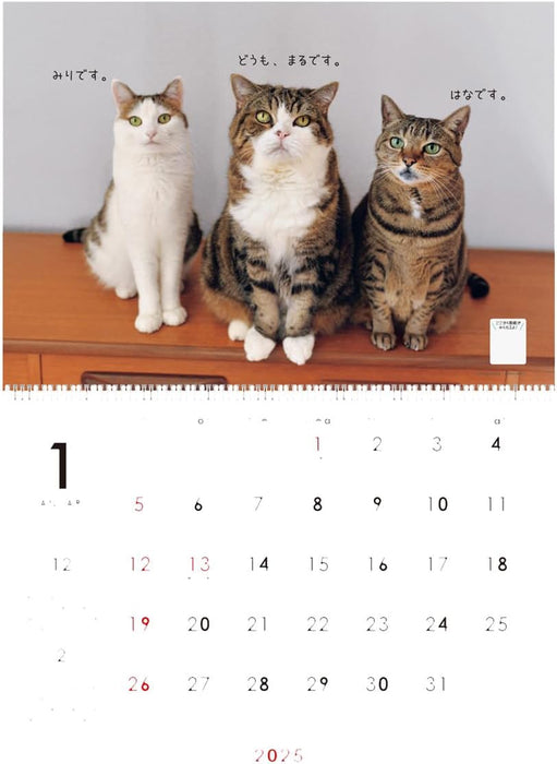 Maru-chan 2025 Calendar No.041