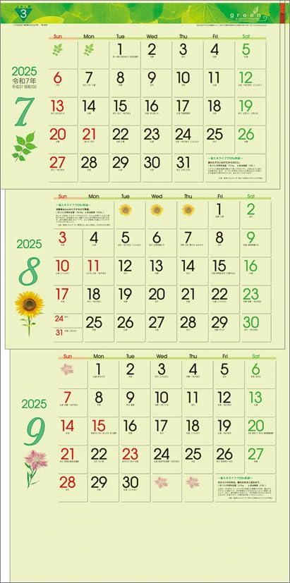 Todan 2025 Wall Calendar Green 3-Month eco S (From Top to Bottom Type) CL25-1040