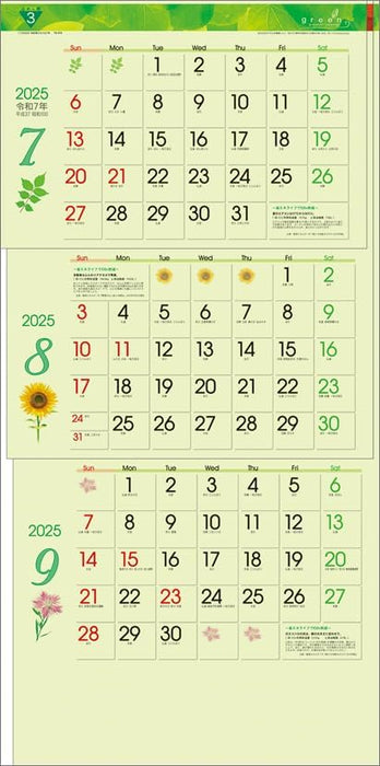 Todan 2025 Wall Calendar Green 3-Month eco S (From Top to Bottom Type) CL25-1040