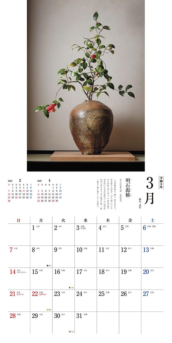 Try-X 2027 Wall Calendar Tea Flower 27CL-476 60x30cm