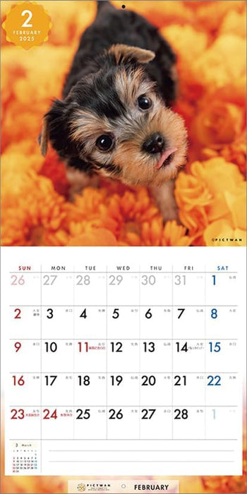 PICTWAN 2025 Calendar S Edition Yorkshire Terrier CL25-1245