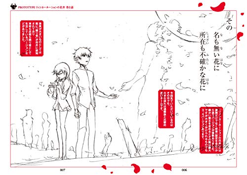 Petals of Reincarnation (Reincarnation no Kaben) 9 First Limited Edition with Special Booklet