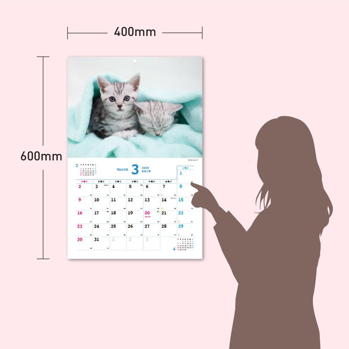 Too Cute Cat Calendar 2025