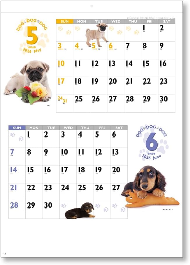 King Corporation 2026 Wall Calendar DOG DOG DOG B3 535 x 380mm KC30129