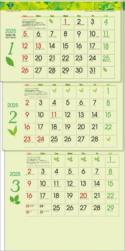 Todan 2025 Wall Calendar Green 3-Month eco S (From Top to Bottom Type) CL25-1040