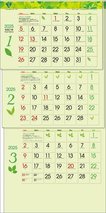 Todan 2025 Wall Calendar Green 3-Month eco S (From Top to Bottom Type) CL25-1040