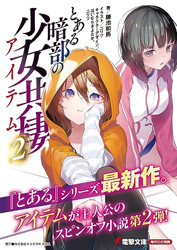 A Certain Item of Dark Side (Toaru Anbu no Item) 2 (Light Novel)