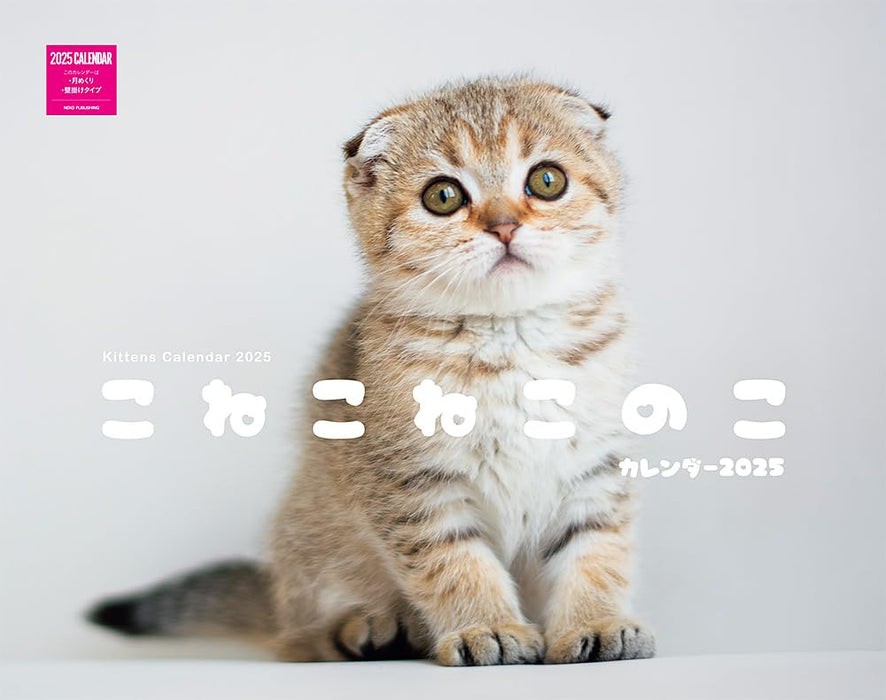 Kittens Calenddar 2025 (Monthly/Wall Calendar)