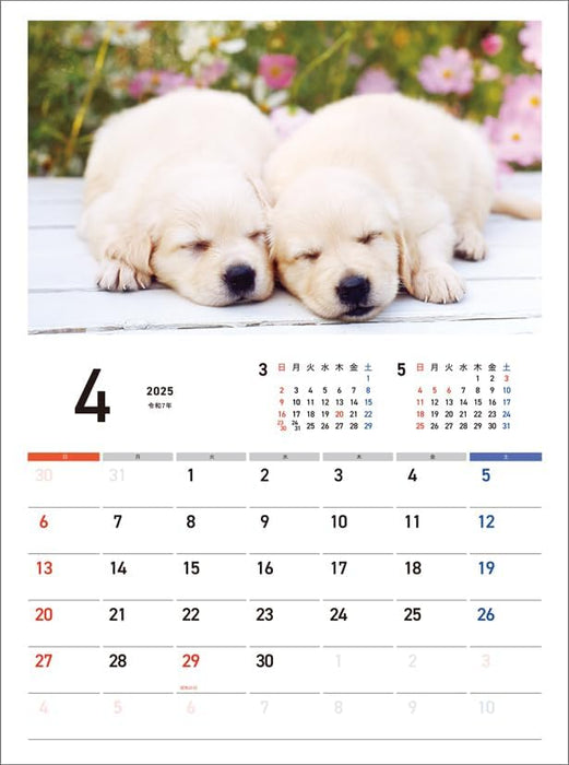 Hagoromo Charity Calendar Good Night Dog 2025 Wall Calendar CL25-0688