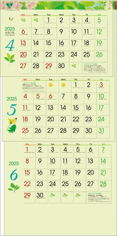 Todan 2025 Wall Calendar Green 3-Month eco S (From Top to Bottom Type) CL25-1040