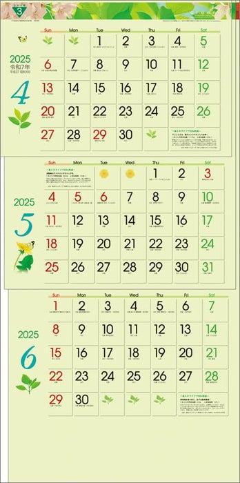 Todan 2025 Wall Calendar Green 3-Month eco S (From Top to Bottom Type) CL25-1040